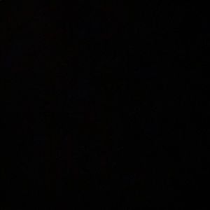 Meet your Posher, Daniela